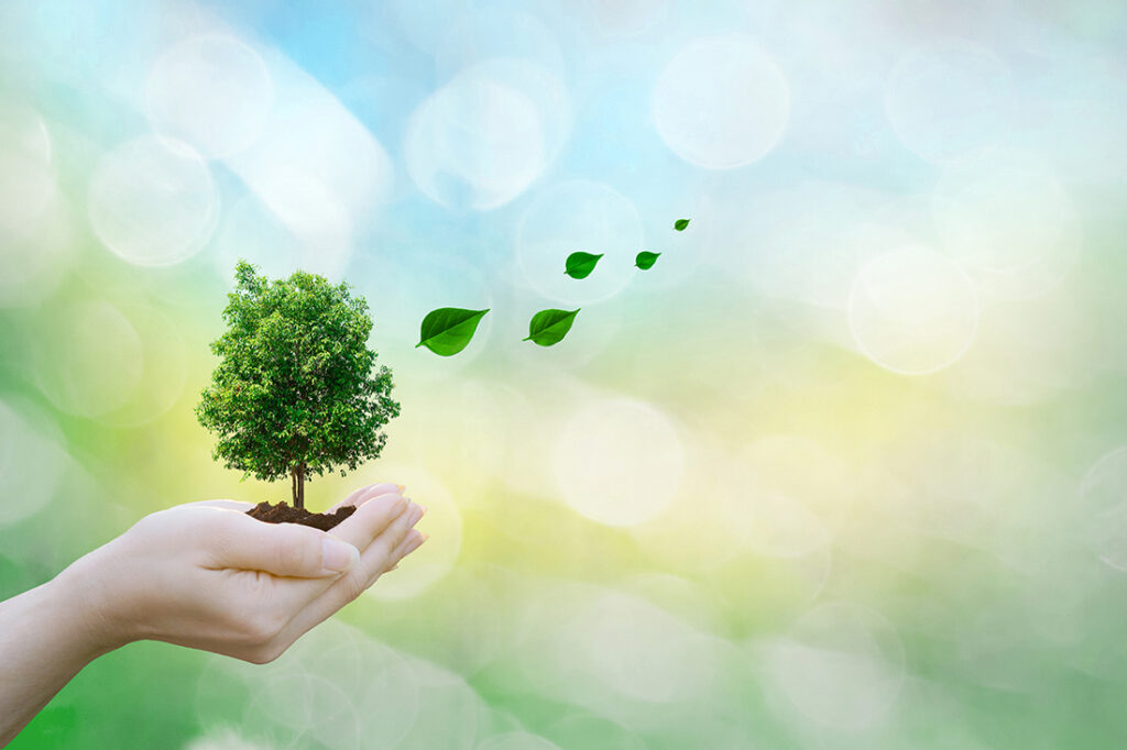 2026-06-MonkeysTreeService-BlogQ1.4-Tree-Care-Tips-for-Lakefront-Properties.jpg